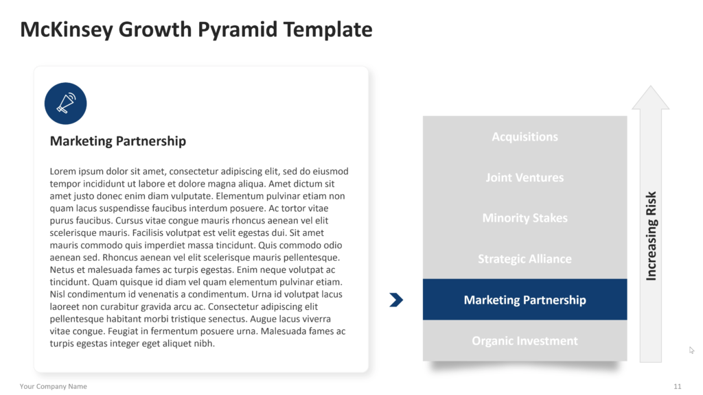 Investment approach detail slide with “Marketing Partnership” highlighted in a vertical list and explanatory text on the left. 11