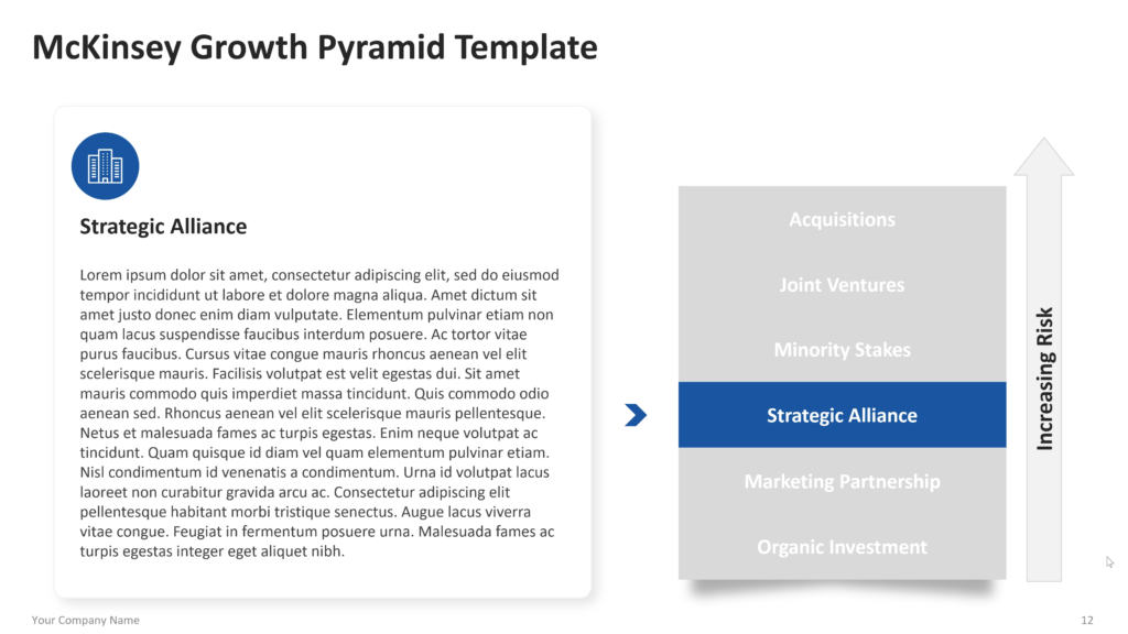 Investment approach detail slide with “Strategic Alliance” highlighted in a vertical list and explanatory text on the left. 12