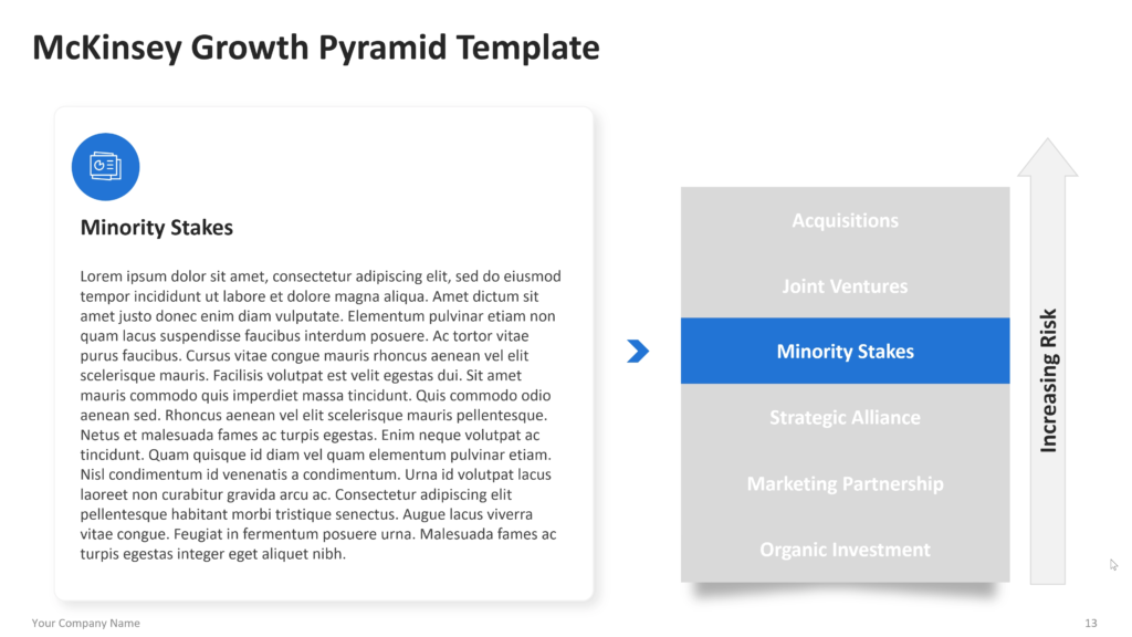 Investment approach detail slide with “Minority Stakes” highlighted in a vertical list and explanatory text on the left. 13