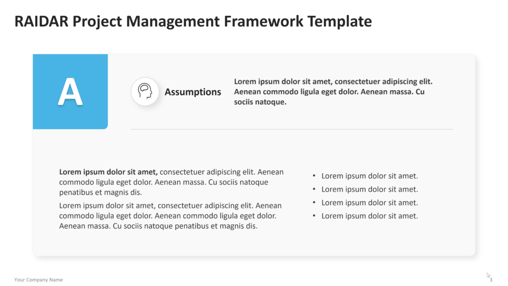 raidarSix vertical sections labeled Risk, Assumptions, Issues, Dependencies, Action, and Resolution, each with an icon and explanatory text. 03