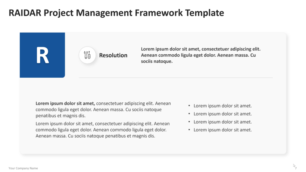 raidar Six vertical sections labeled Risk, Assumptions, Issues, Dependencies, Action, and Resolution, each with an icon and explanatory text. 07